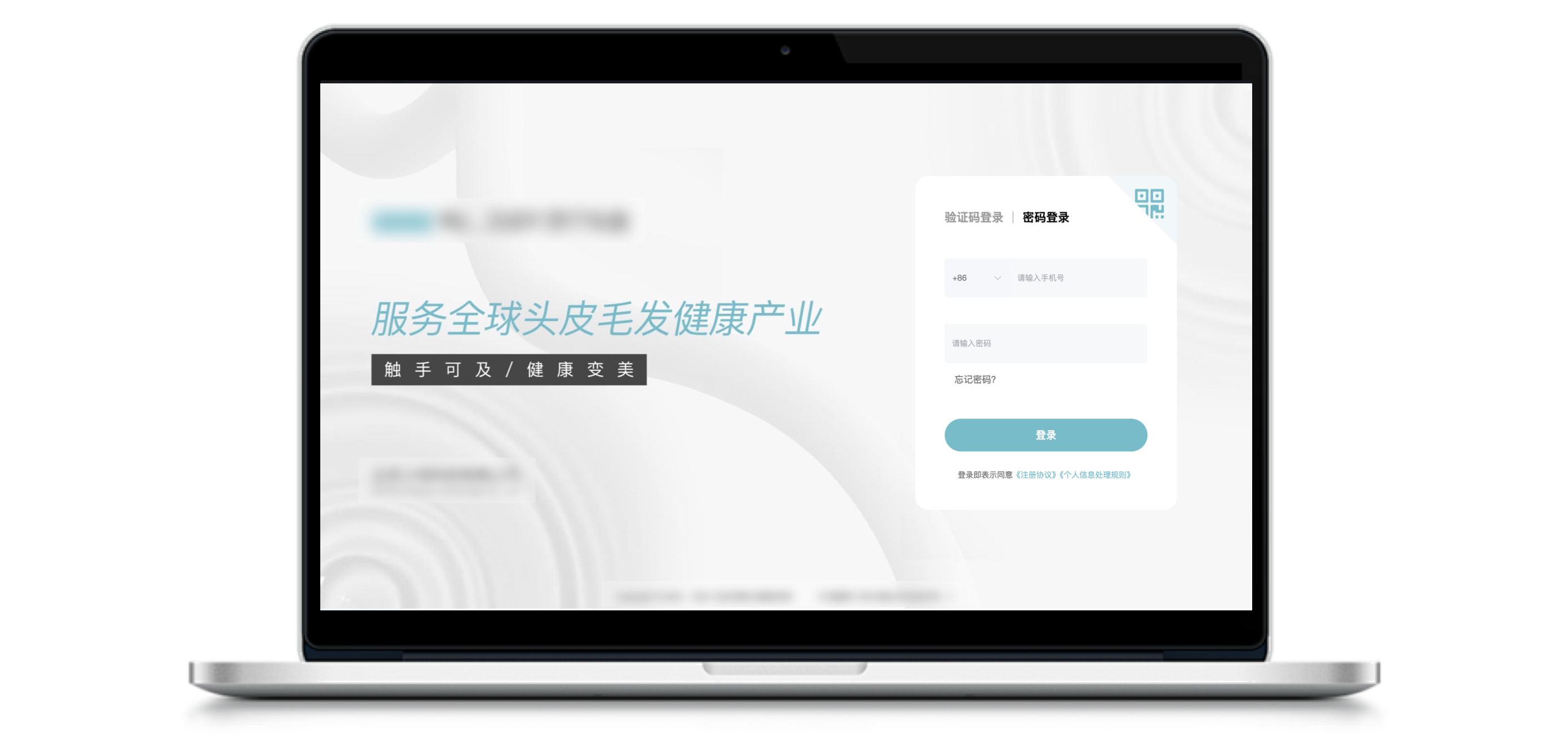 E-commerce Experience